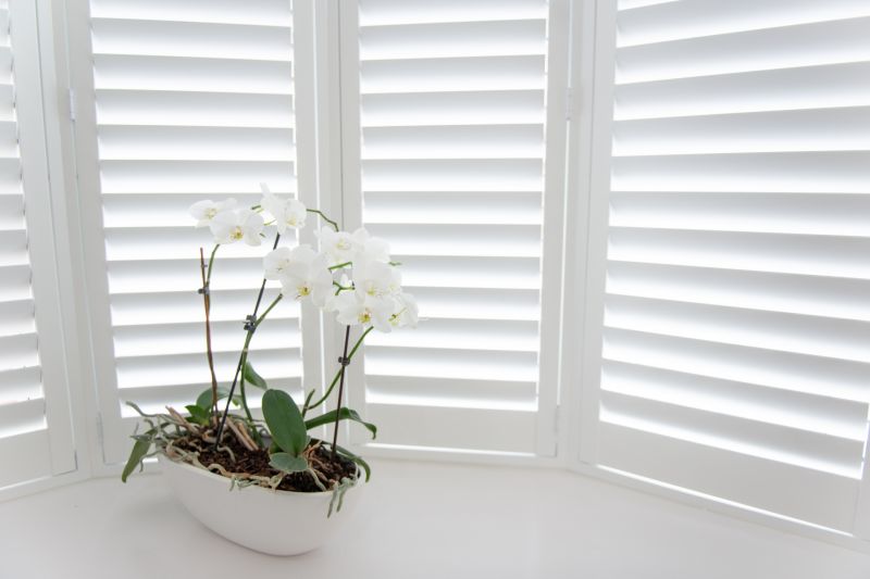 Shutters Installation in Littleton, CO
