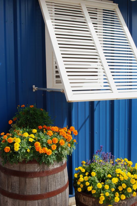 Shutters Replacement in Denver, CO